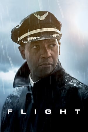 Flight (2012) Hindi Dual Audio [1GB]